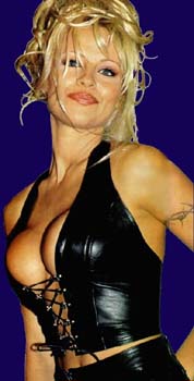 Pamela